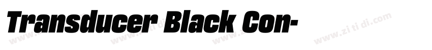 Transducer Black Con字体转换